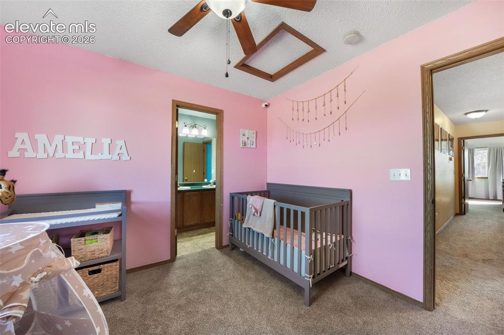 4412 Bramble Lane Colorado Springs CO 80925