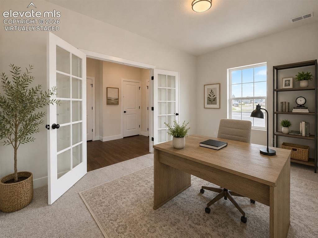 8246 Lemon Grass Road Falcon CO 80831