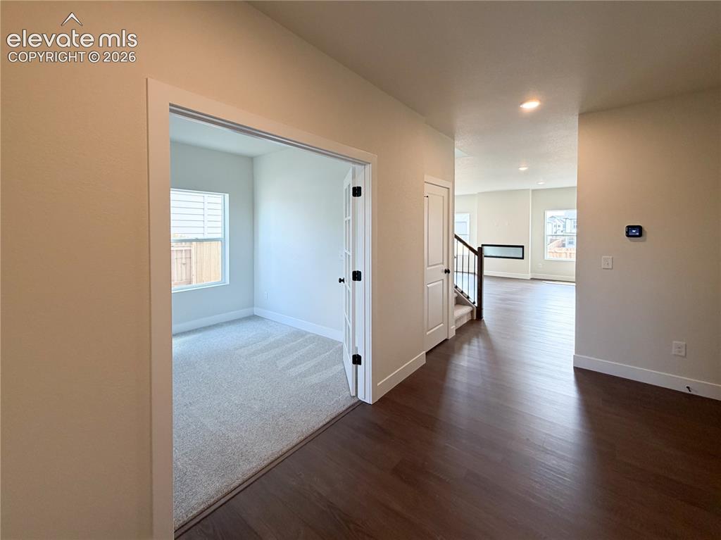 8246 Lemon Grass Road Falcon CO 80831