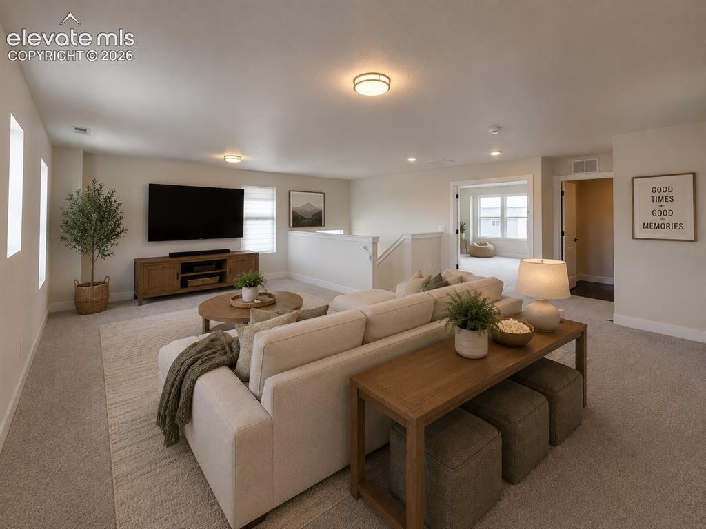 8246 Lemon Grass Road Falcon CO 80831