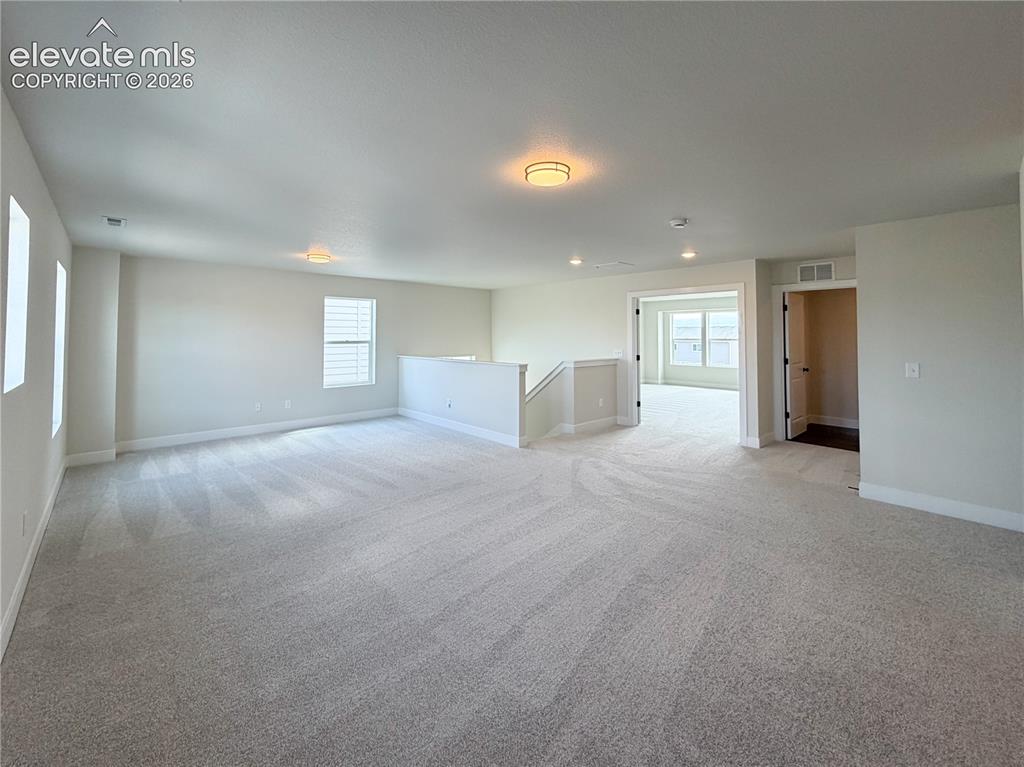 8246 Lemon Grass Road Falcon CO 80831