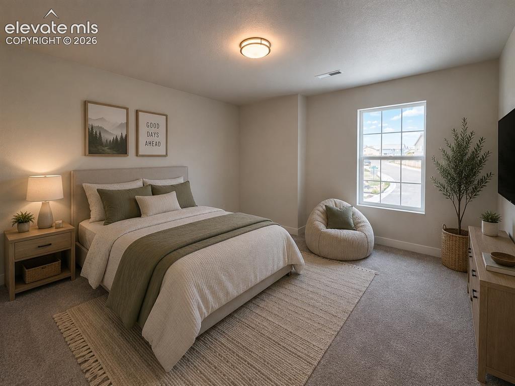 8246 Lemon Grass Road Falcon CO 80831