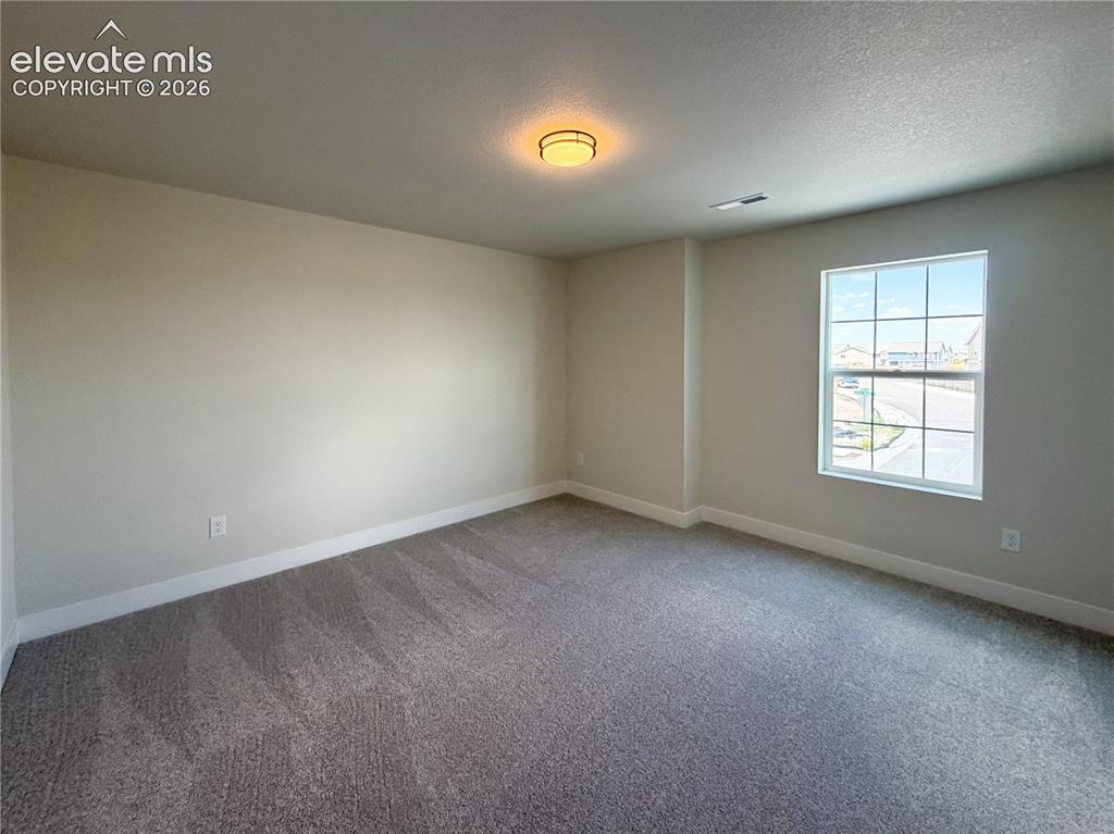 8246 Lemon Grass Road Falcon CO 80831