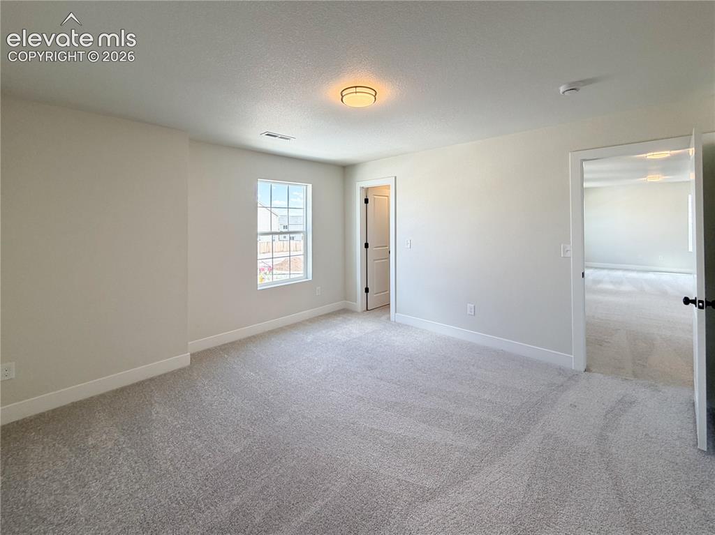 8246 Lemon Grass Road Falcon CO 80831