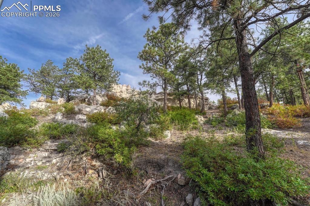 670 E Baptist Road Colorado Springs CO 80921