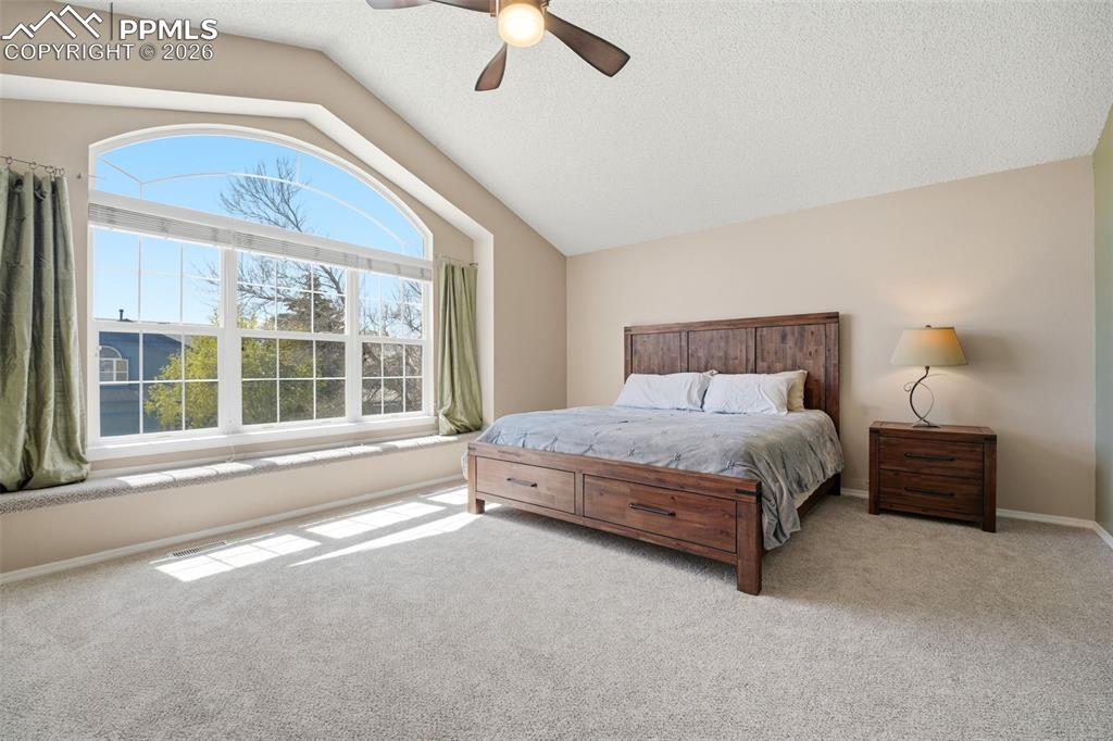 3860 Timberwood Court Colorado Springs CO 80918