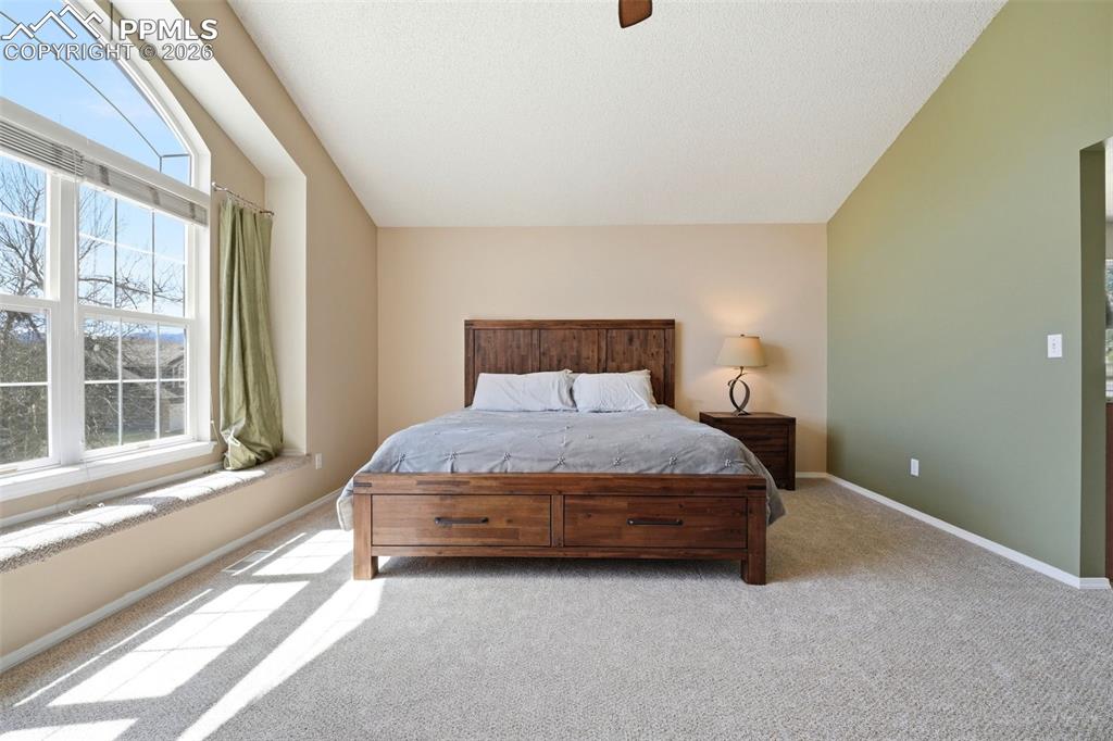 3860 Timberwood Court Colorado Springs CO 80918