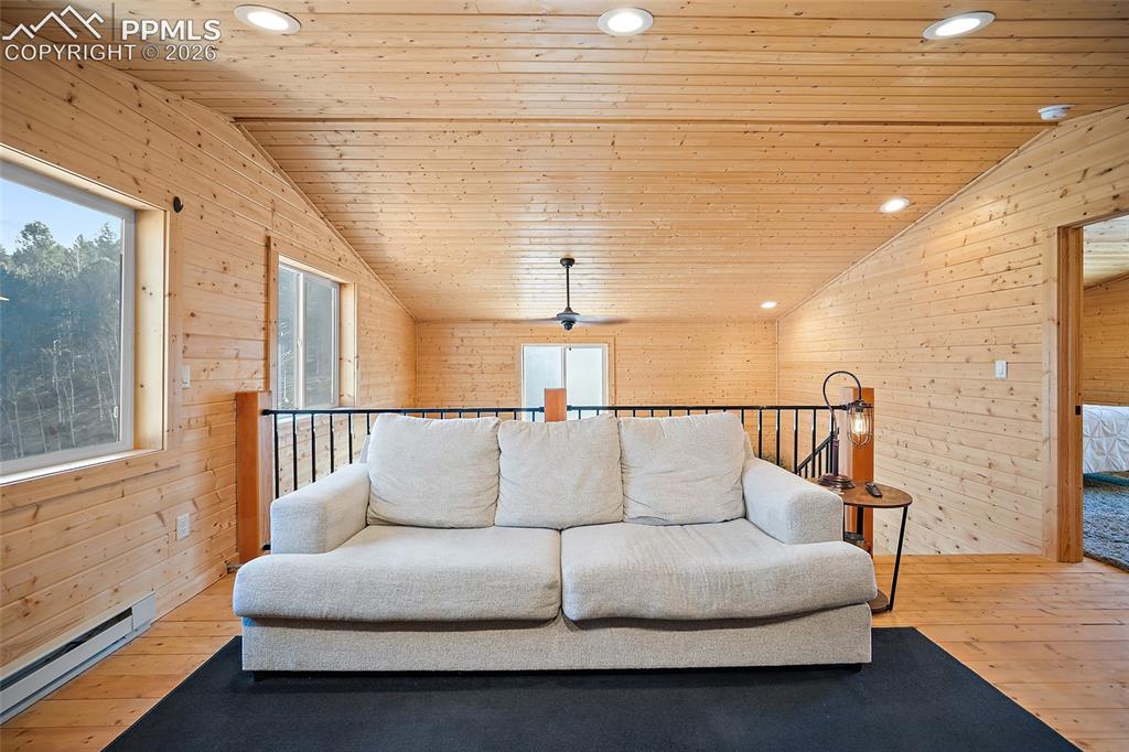 213 Willow Road Divide CO 80814