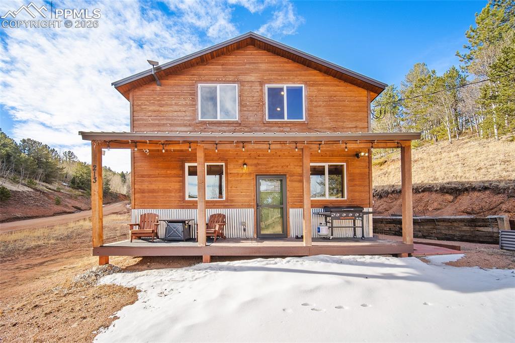 213 Willow Road Divide CO 80814