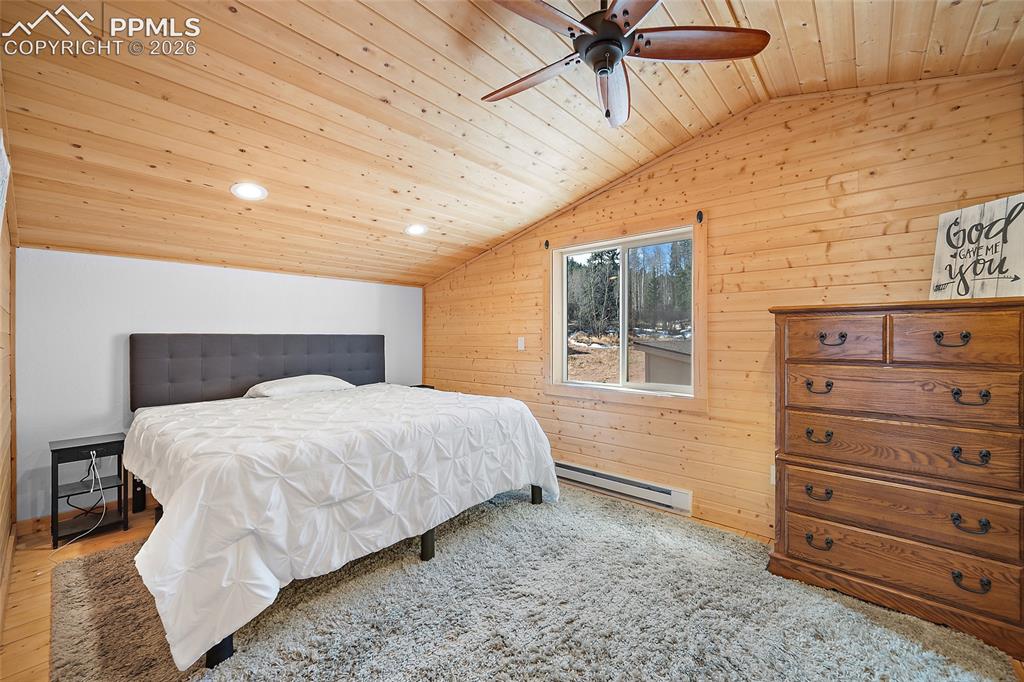 213 Willow Road Divide CO 80814