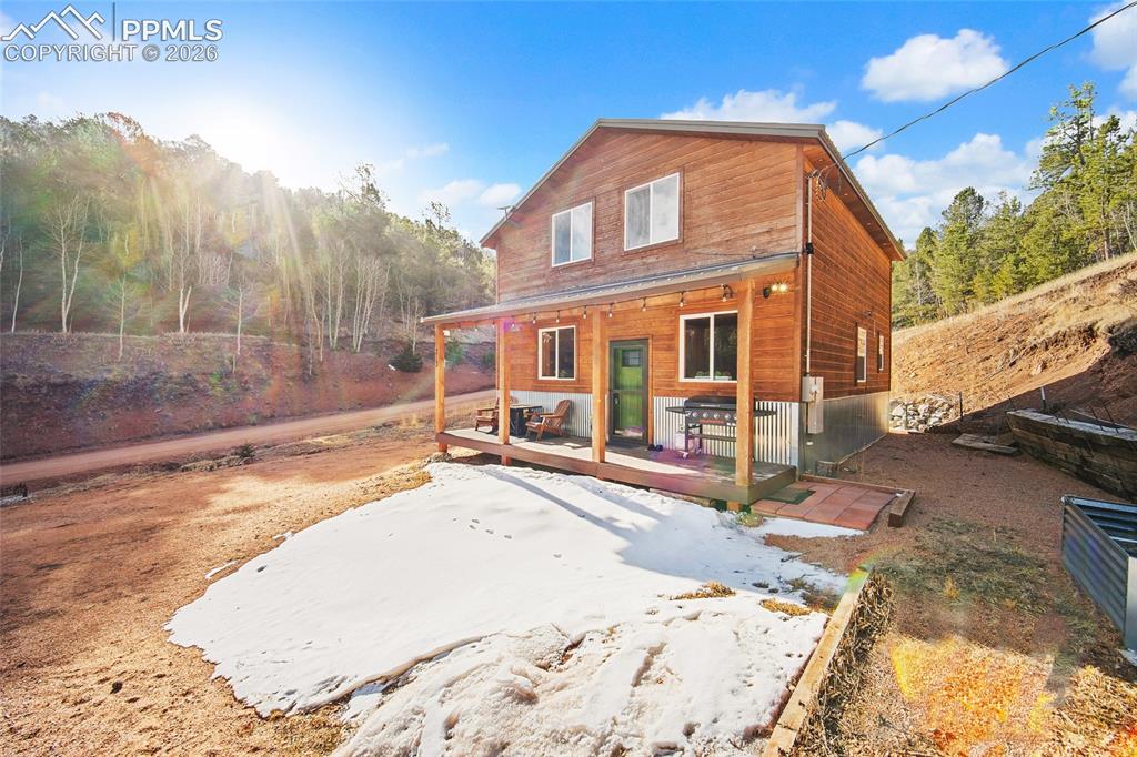 213 Willow Road Divide CO 80814