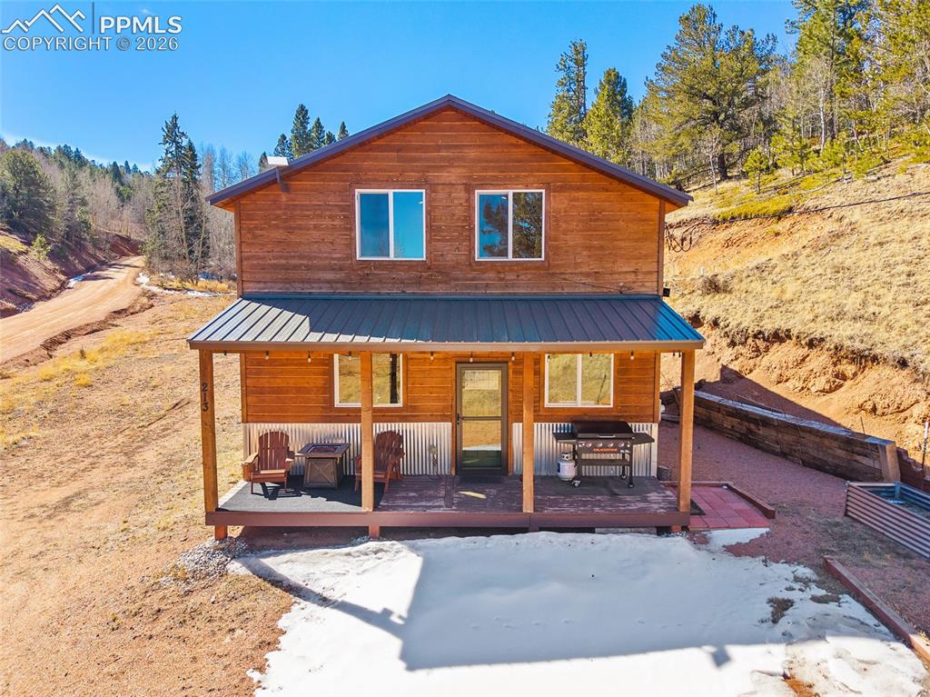 213 Willow Road Divide CO 80814