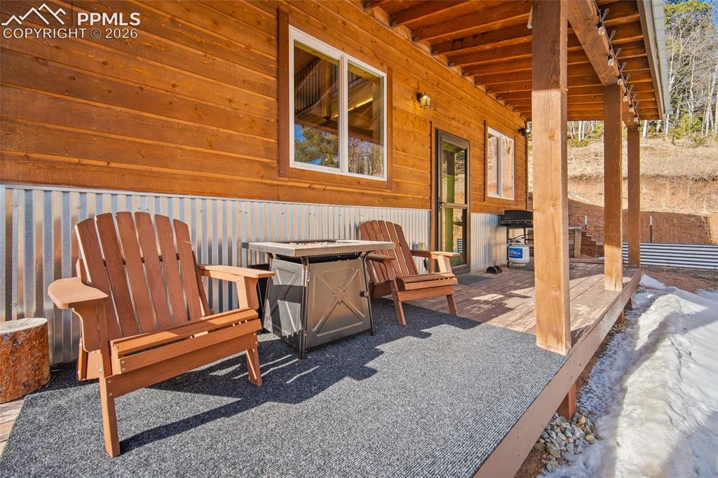 213 Willow Road Divide CO 80814