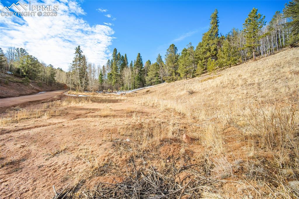 213 Willow Road Divide CO 80814
