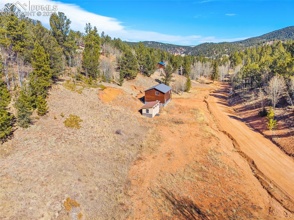 213 Willow Road Divide CO 80814