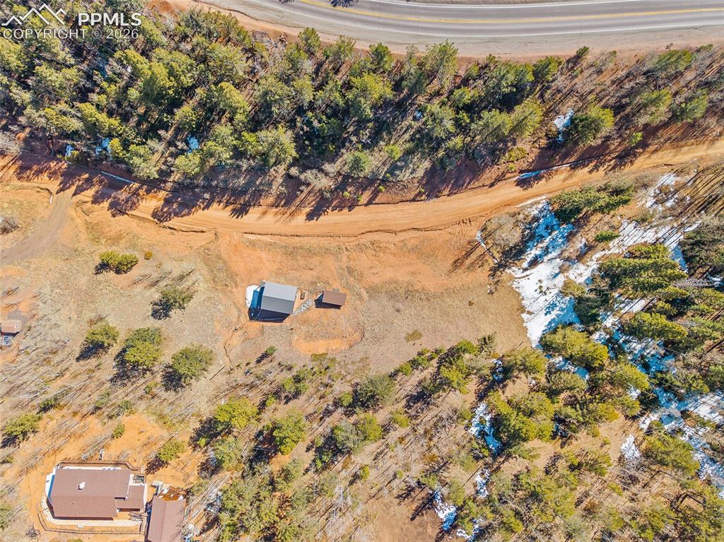 213 Willow Road Divide CO 80814
