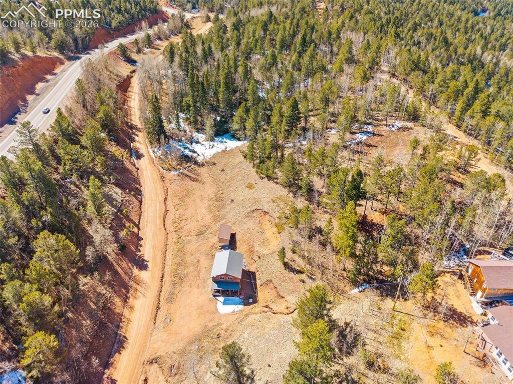 213 Willow Road Divide CO 80814