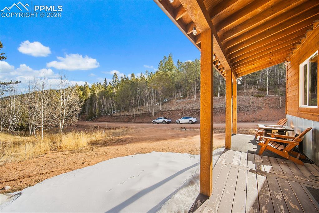 213 Willow Road Divide CO 80814