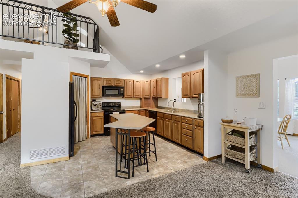 16 Echo Circle Florissant CO 80816