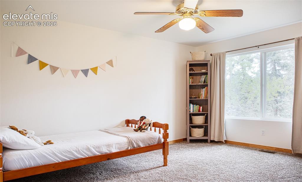 16 Echo Circle Florissant CO 80816