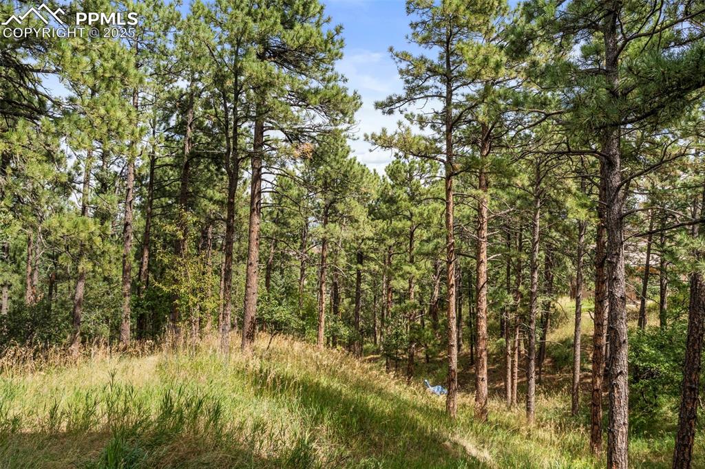 17 Midland Road Colorado Springs CO 80906