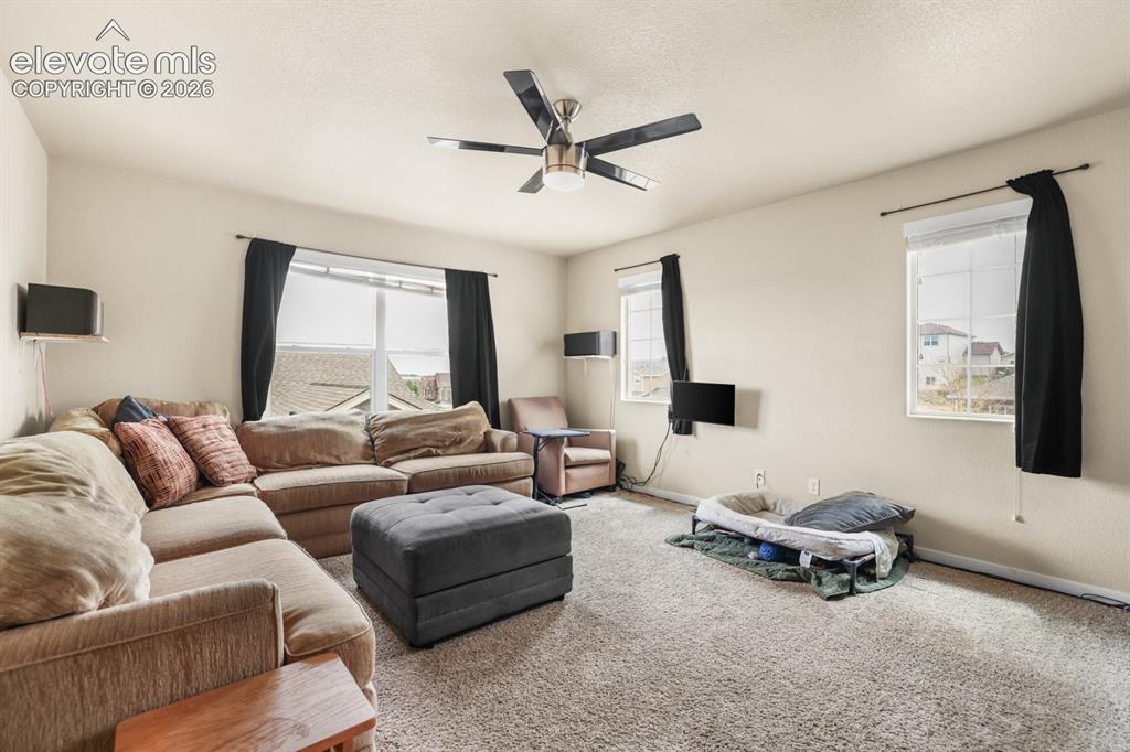 7465 Bonterra Lane Colorado Springs CO 80925
