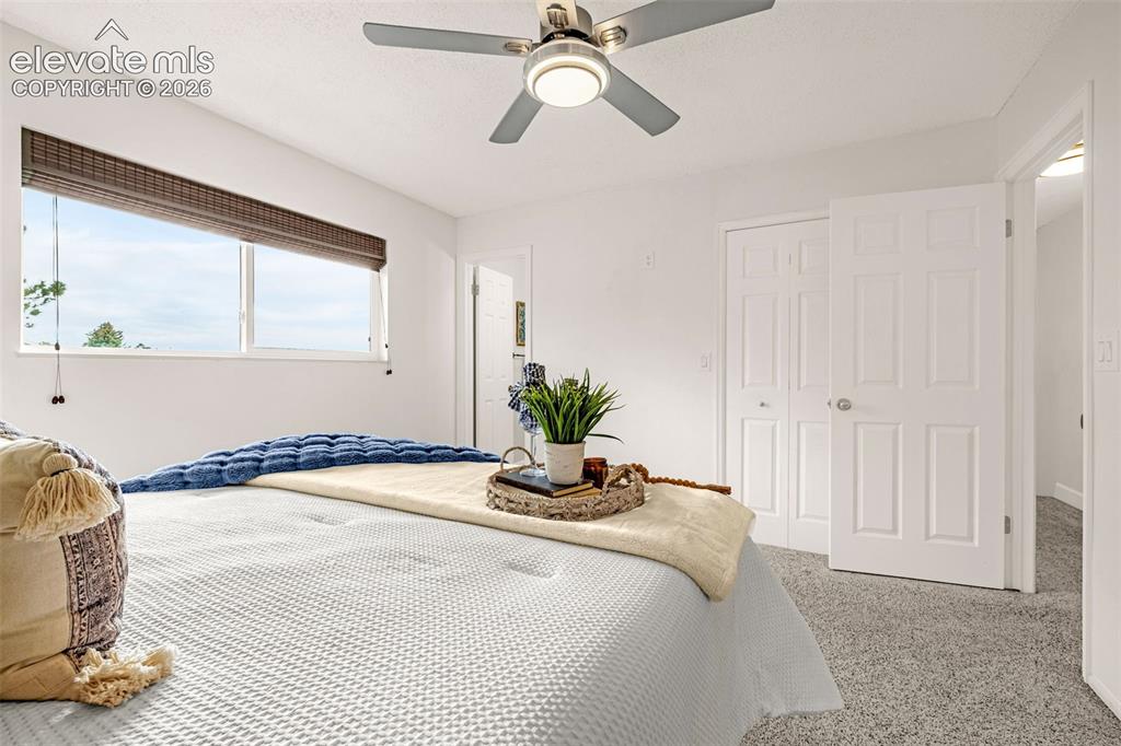 5155 Bitterweed Lane Colorado Springs CO 80917