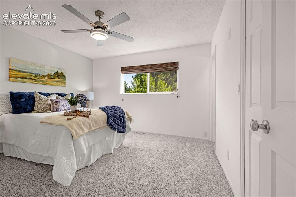 5155 Bitterweed Lane Colorado Springs CO 80917