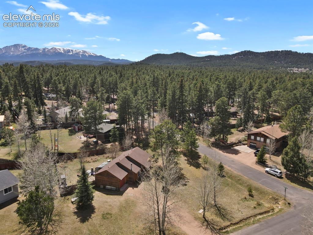165 Vaquero Senda Woodland Park CO 80863
