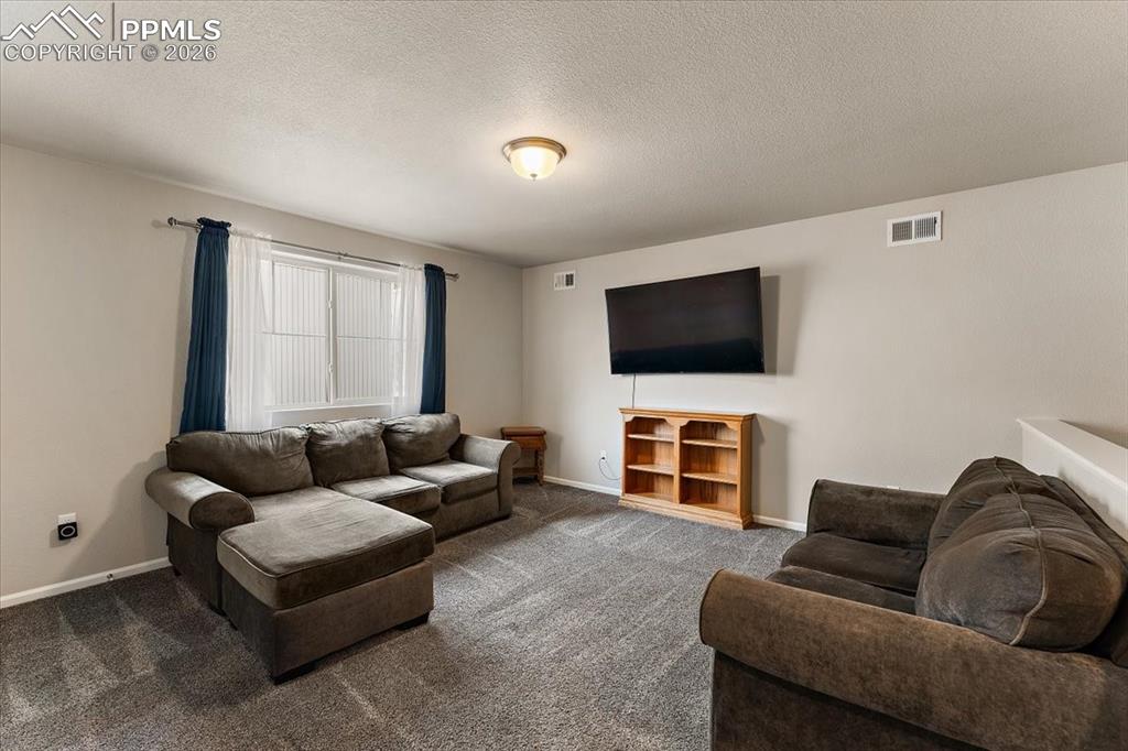 7890 Treehouse Terrace Fountain CO 80817