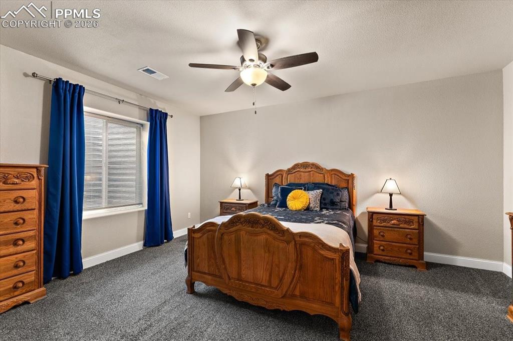 7890 Treehouse Terrace Fountain CO 80817