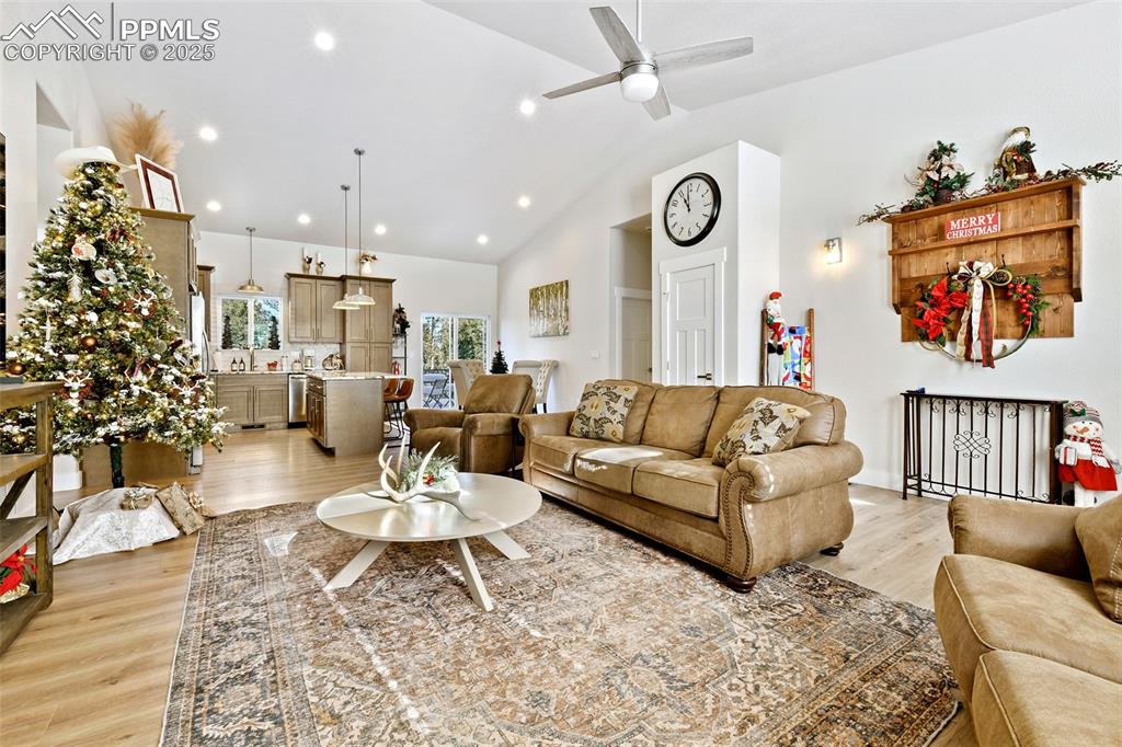 29 Dusti Circle Florissant CO 80816