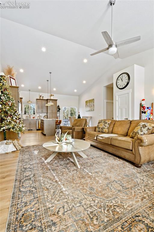 29 Dusti Circle Florissant CO 80816
