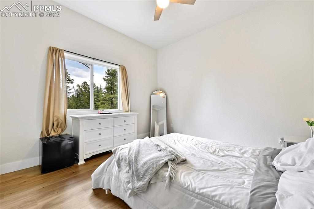 29 Dusti Circle Florissant CO 80816