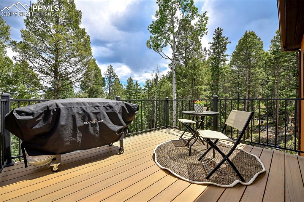 29 Dusti Circle Florissant CO 80816