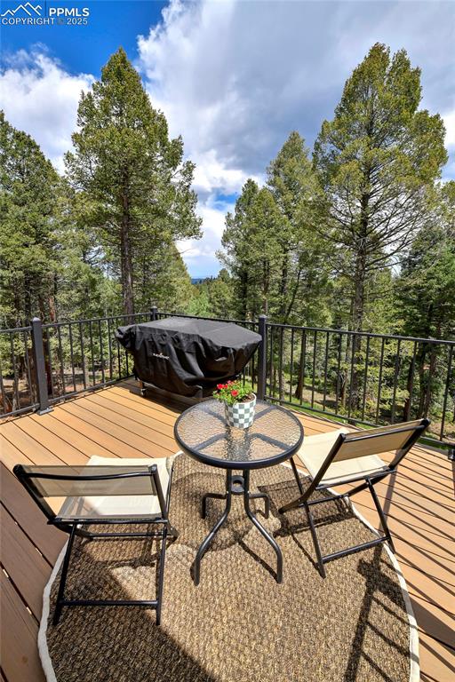 29 Dusti Circle Florissant CO 80816