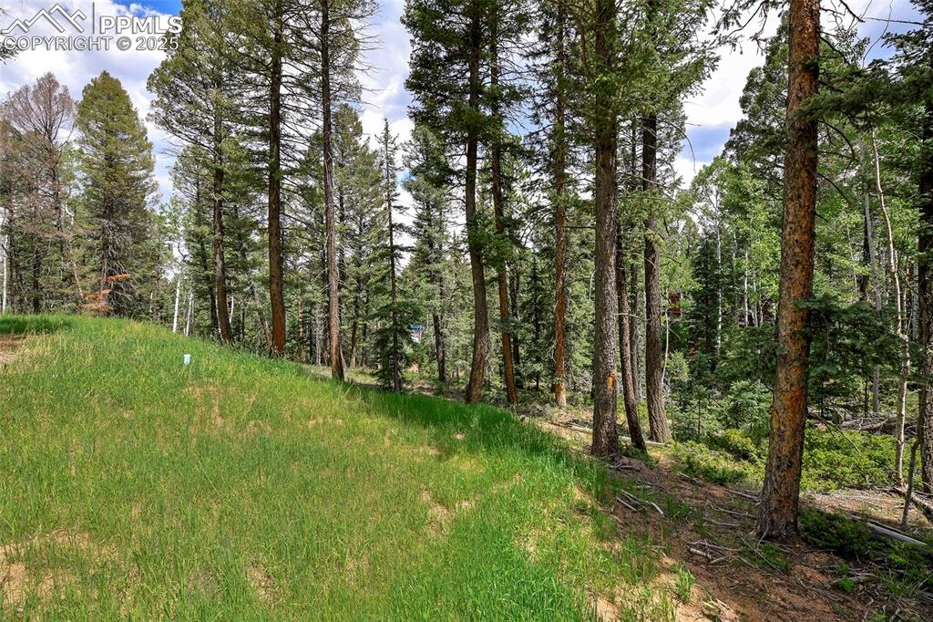 29 Dusti Circle Florissant CO 80816