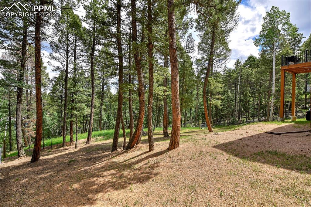 29 Dusti Circle Florissant CO 80816