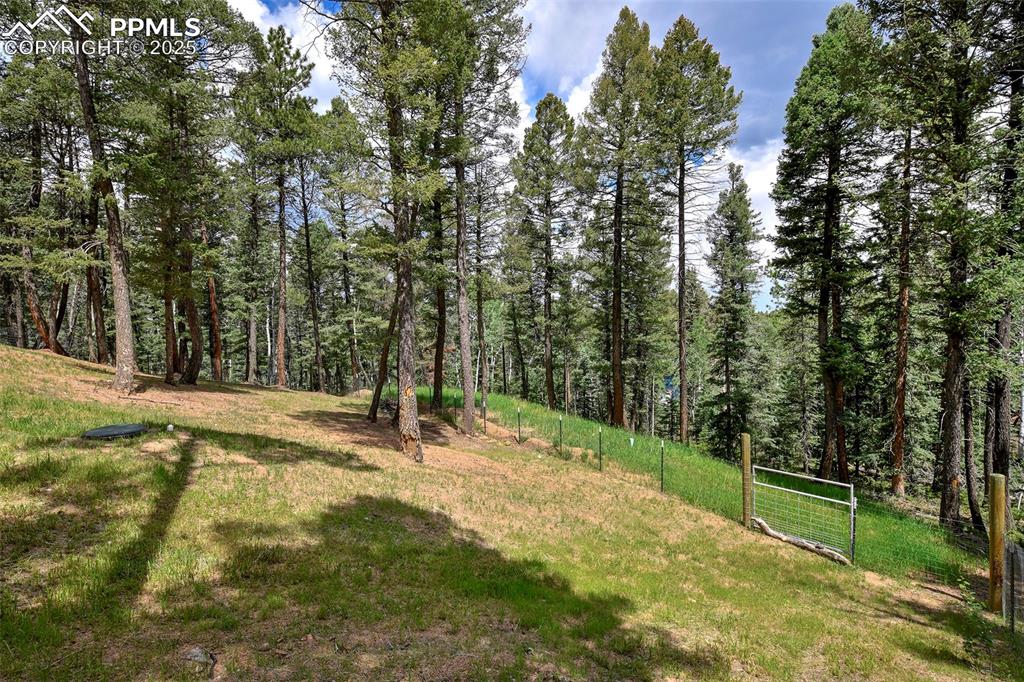 29 Dusti Circle Florissant CO 80816