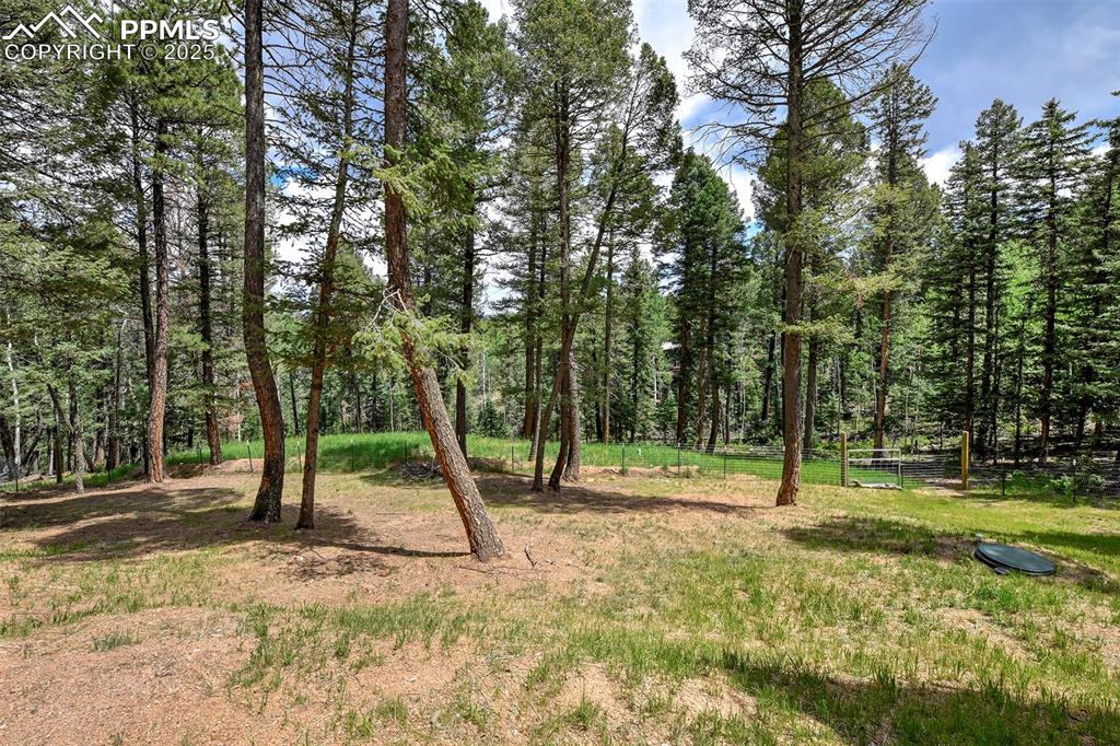 29 Dusti Circle Florissant CO 80816