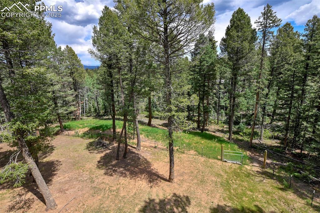 29 Dusti Circle Florissant CO 80816