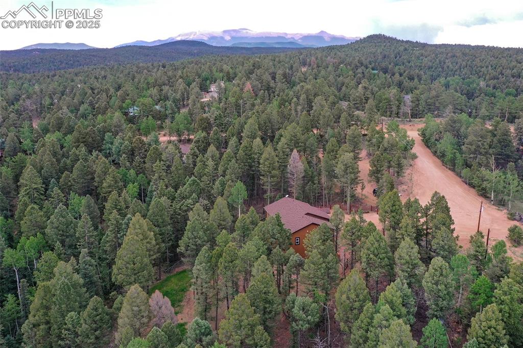 29 Dusti Circle Florissant CO 80816