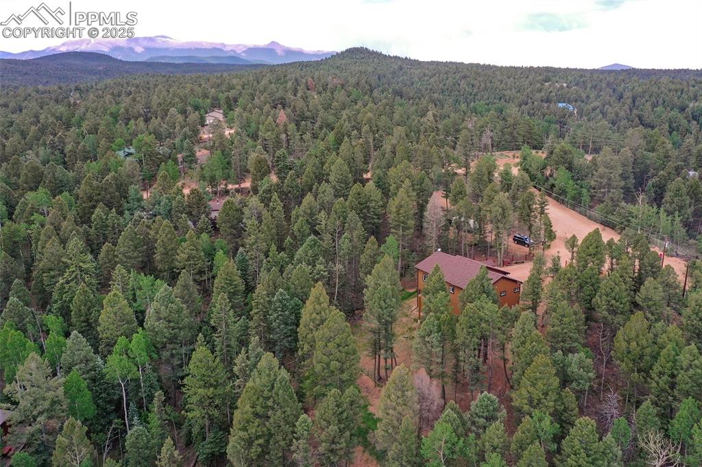 29 Dusti Circle Florissant CO 80816