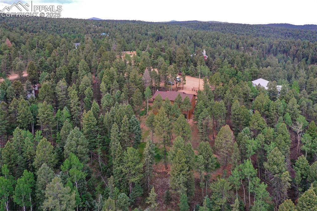 29 Dusti Circle Florissant CO 80816