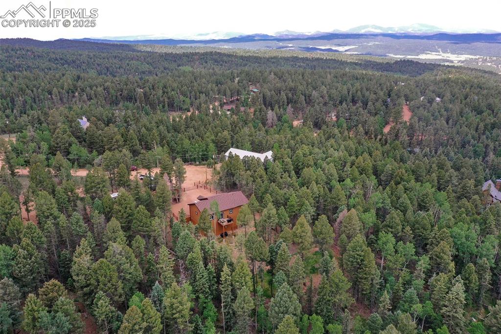 29 Dusti Circle Florissant CO 80816