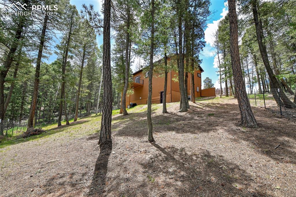 29 Dusti Circle Florissant CO 80816