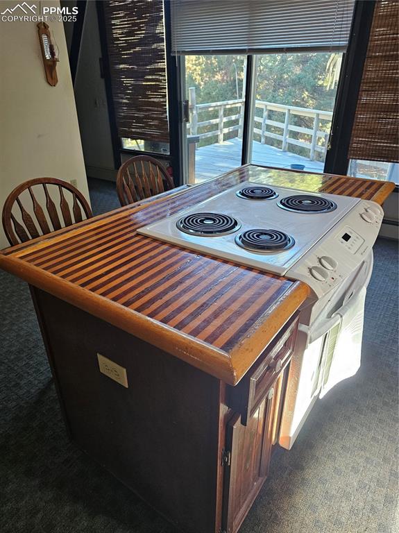 3104 County Road 6 Coaldale CO 81222