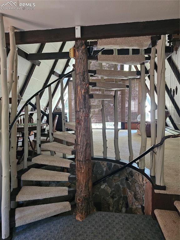 3104 County Road 6 Coaldale CO 81222