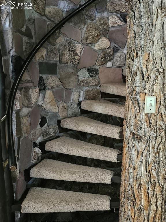 3104 County Road 6 Coaldale CO 81222