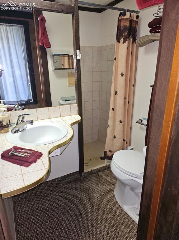 3104 County Road 6 Coaldale CO 81222